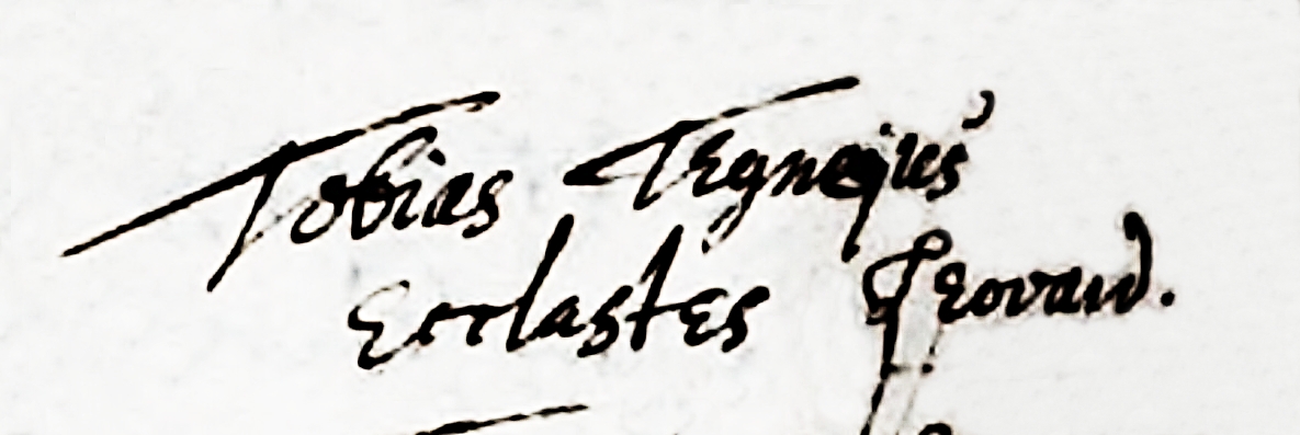 1629tobiasteynejus_sneekng_158_279.jpg